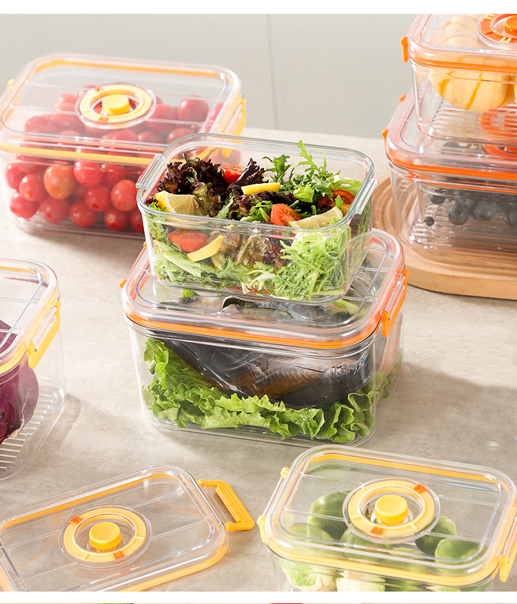 Vacuum Fresh-keeping Box Refri - Food Storage Meal Prep recensie en prijs