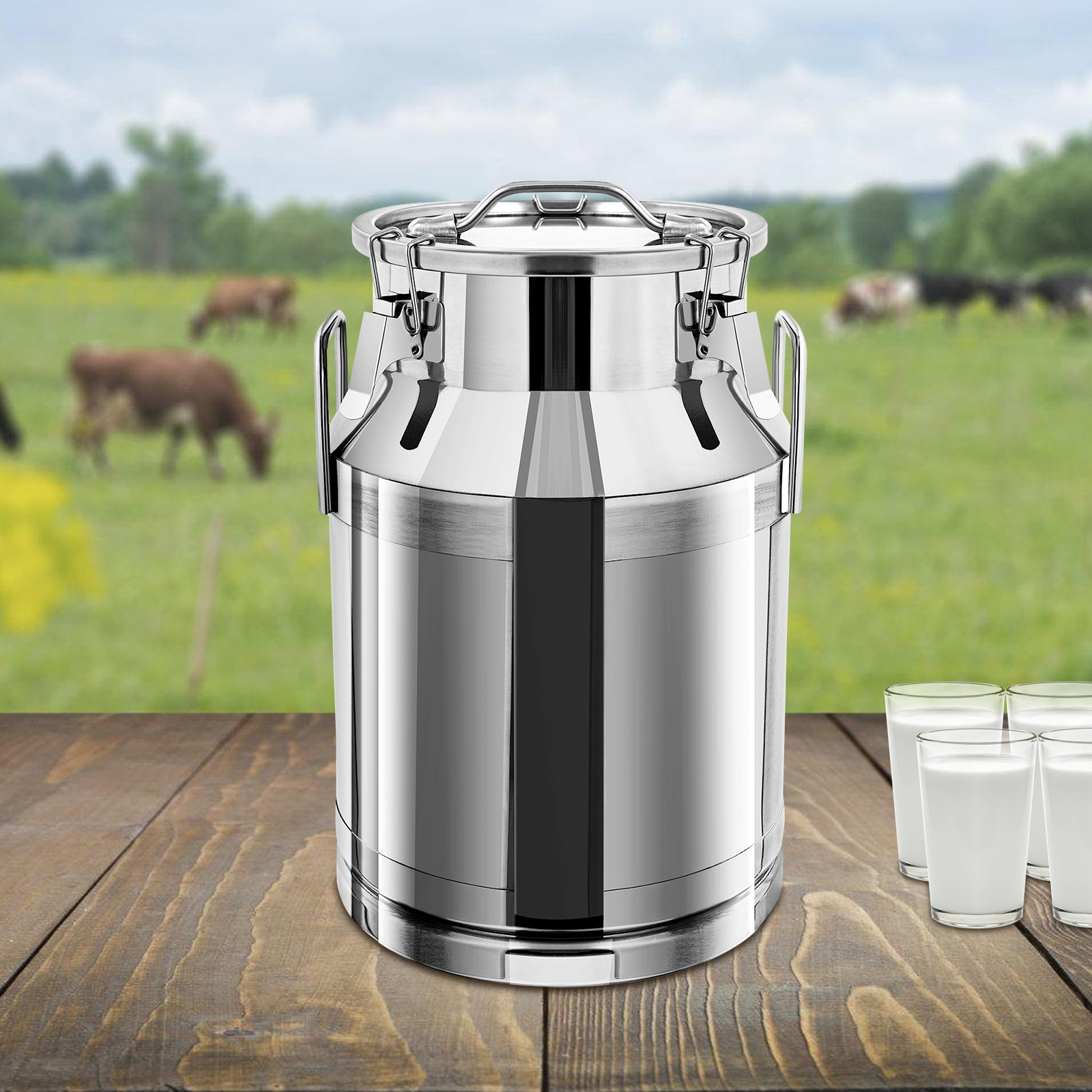 3L Milk Can Stainless Steel Fo - Food Storage Large recensie en prijs