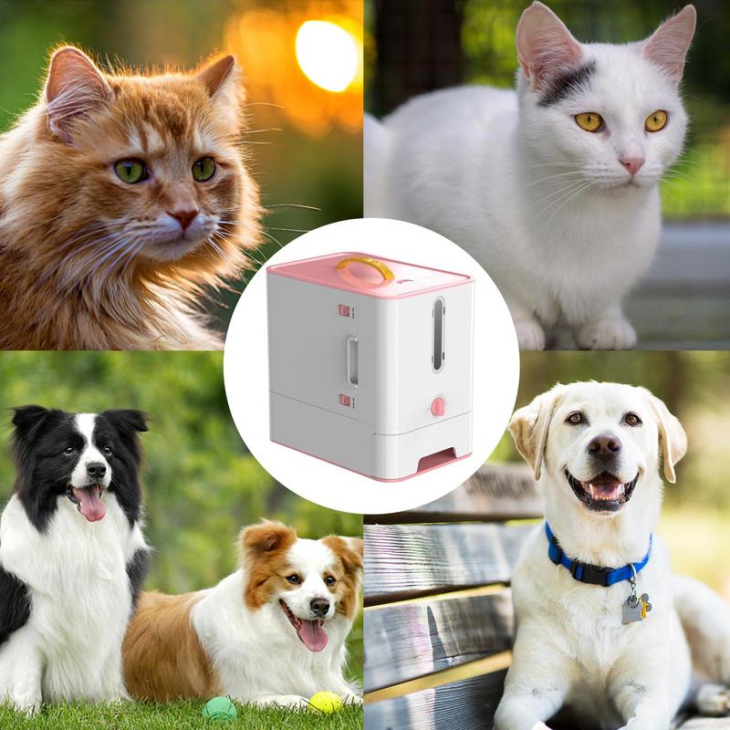 Pet Feeder Box Feeding Bowl Ca - Food Storage And Safety recensie en prijs