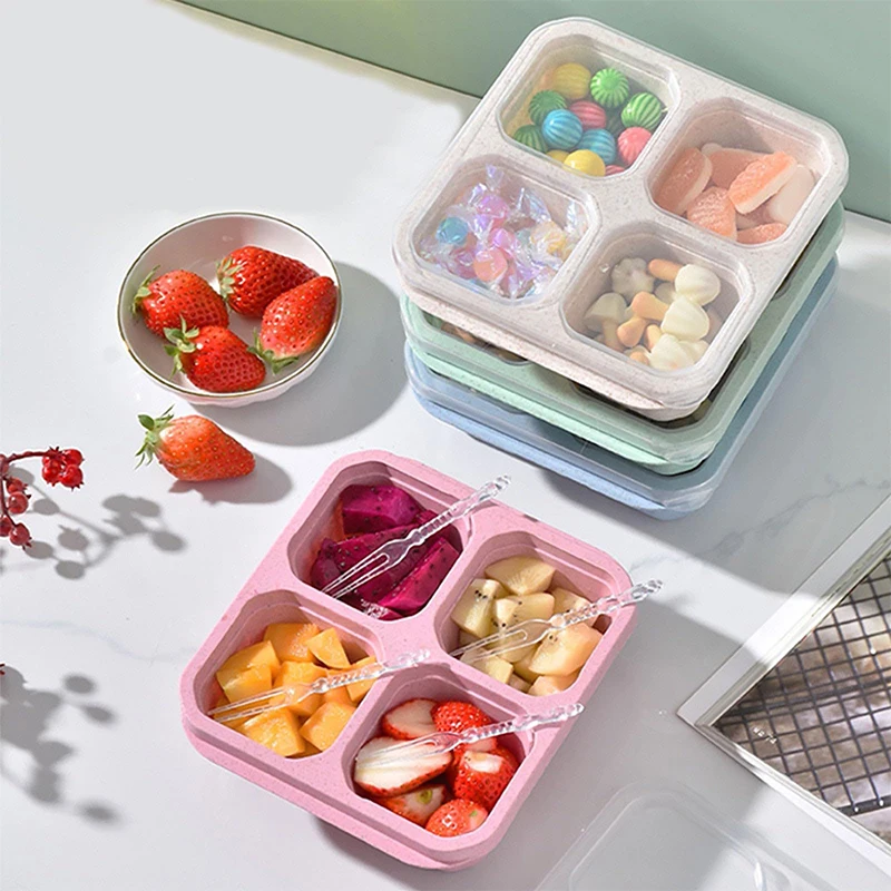 4 Grids Food Storage Box Porta - Food Storage Ideas recensie en prijs