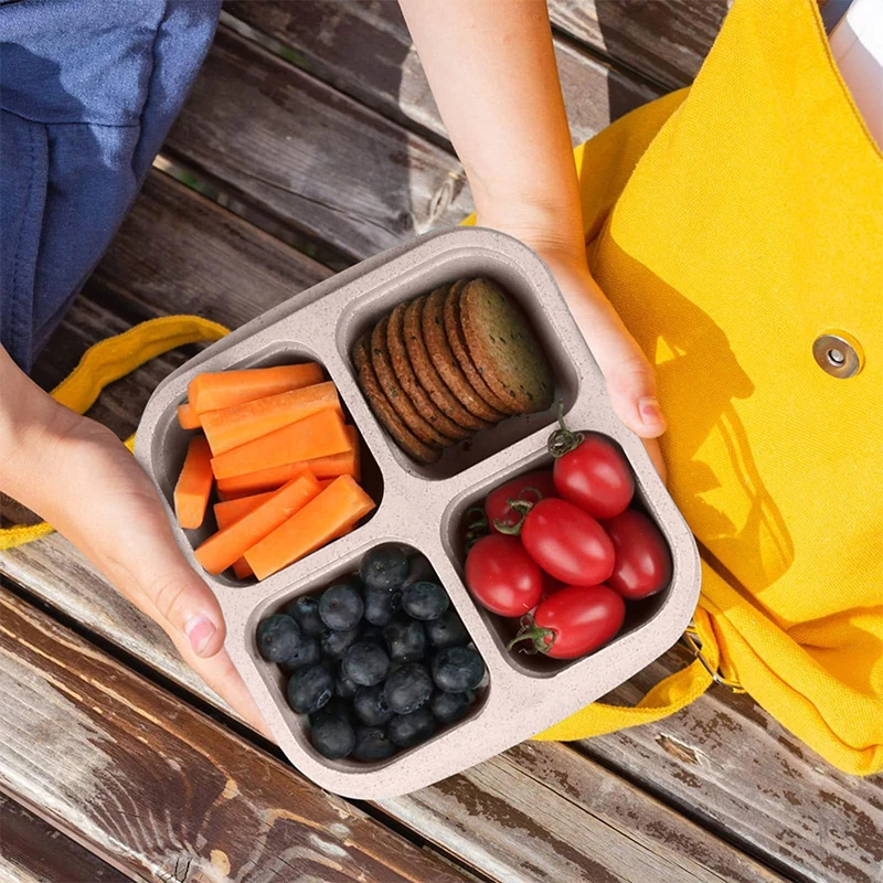 4 Grids Food Storage Box Porta - Food Storage Ideas recensie en prijs