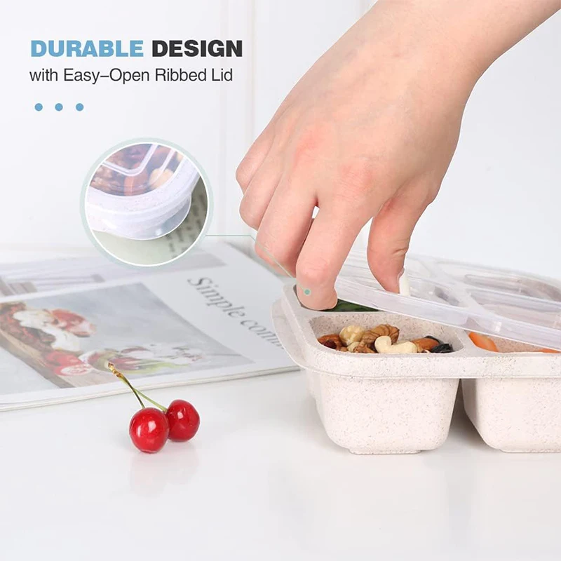4 Grids Food Storage Box Porta - Food Storage Ideas recensie en prijs