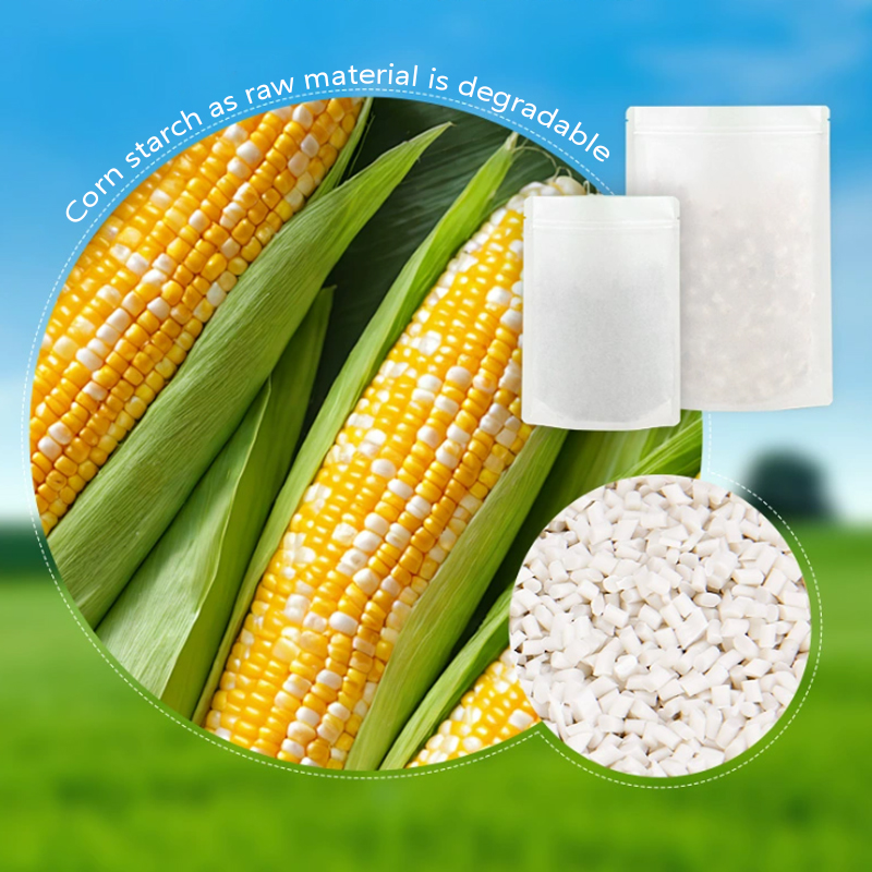 Customized Degradable Kraft Pa - Food Storage In Plants recensie en prijs