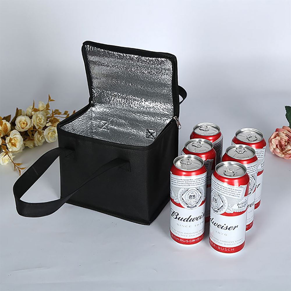 Portable Lunch Cooler Bag Fold - Food Storage Hiking recensie en prijs