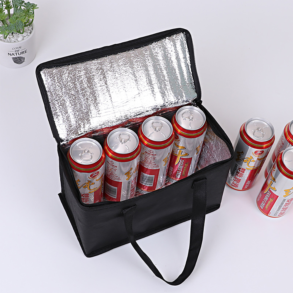 Portable Lunch Cooler Bag Fold - Food Storage Hiking recensie en prijs