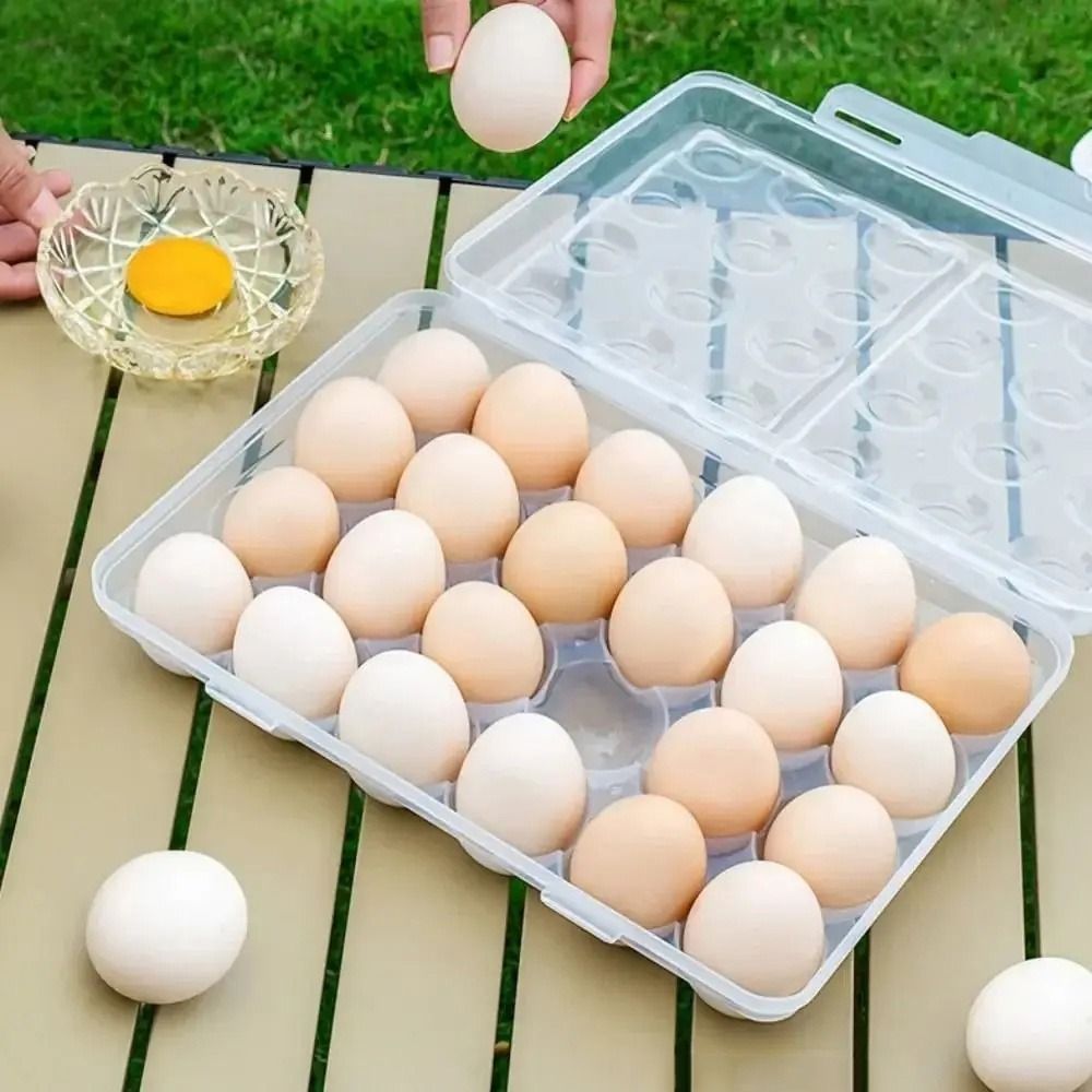 Plastic Egg Storage Box Anti-c - Food Storage Hiking recensie en prijs