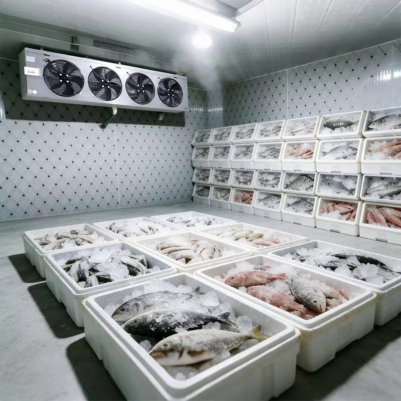 Customized Food Grade Cold Sto - Food Storage And Safety recensie en prijs