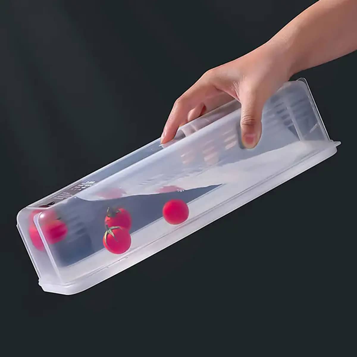 1 Plastic Transparent Storage  - Food Storage Ideas recensie en prijs