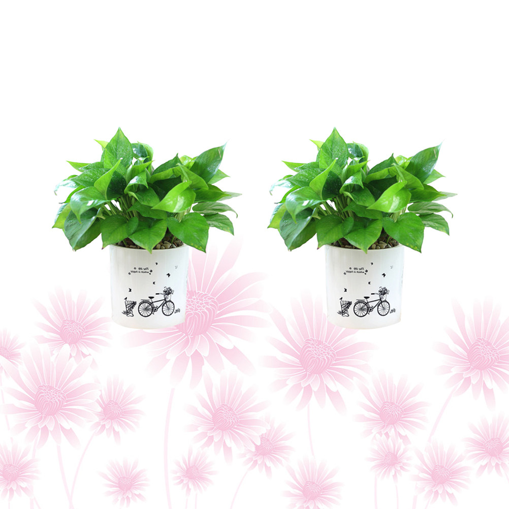 2PCS Self Watering Flowerpot D - Food Storage In Plants recensie en prijs