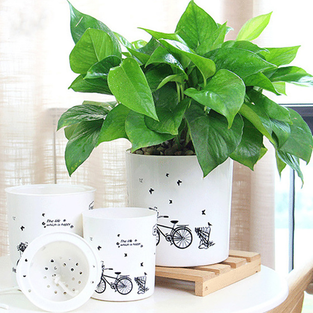 2PCS Self Watering Flowerpot D - Food Storage In Plants recensie en prijs